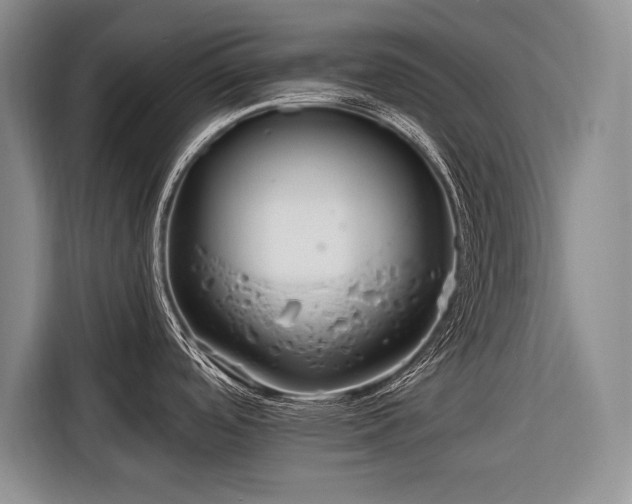 X0000116671488200912211554