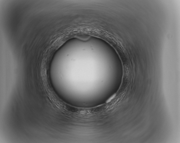 X0000116671489200912211553