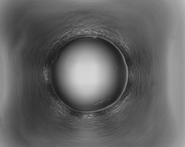 X0000116671490200912211553