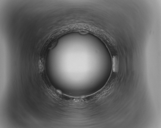 X0000116671491200912211553