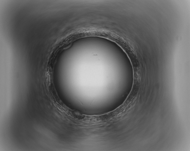 X0000116671493200912211553