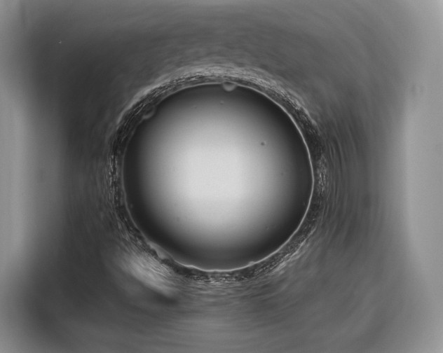 X0000116671494200912211553