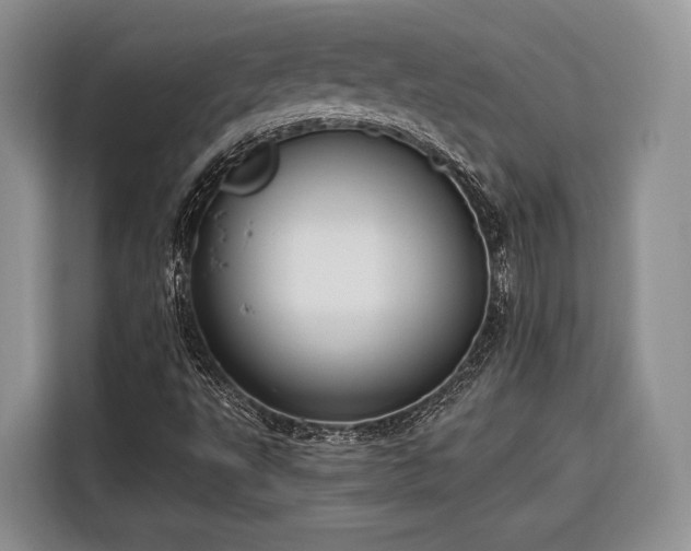 X0000116671495200912211553