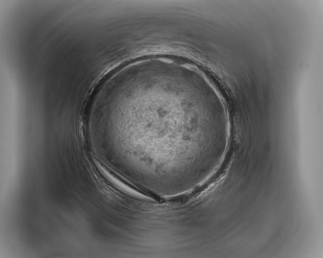 X0000116671497200912211553