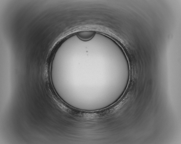 X0000116671498200912211553