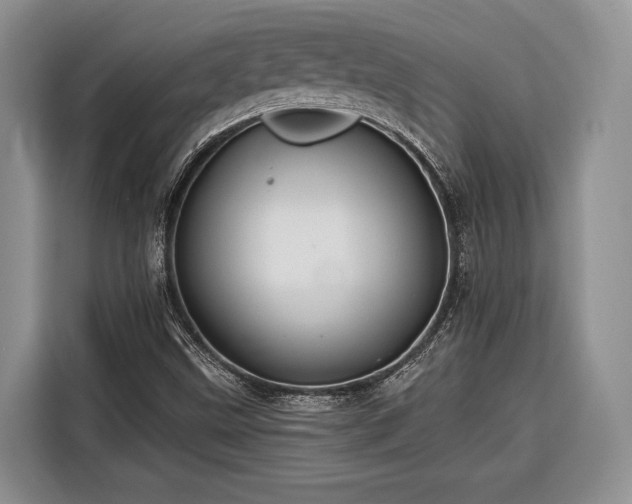 X0000116671499200912211553