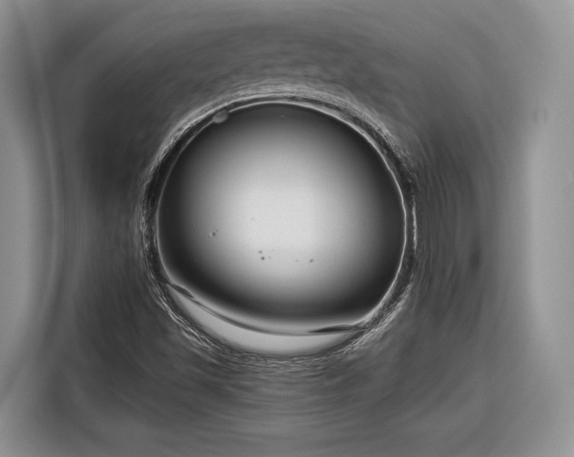 X0000116671501200912211553