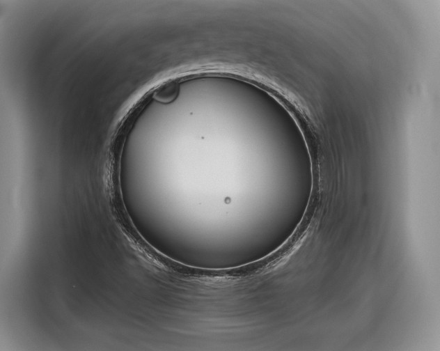 X0000116671502200912211553