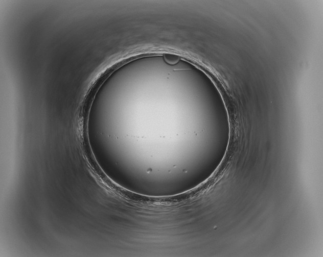 X0000116671503200912211553