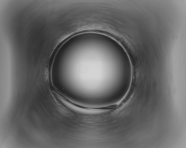 X0000116671505200912211553