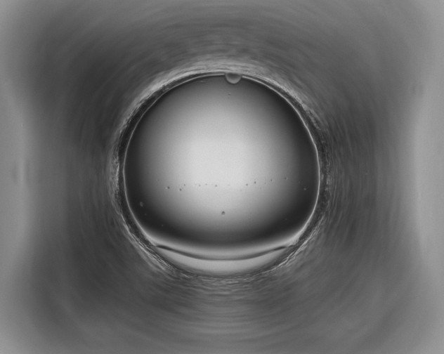 X0000116671507200912211553