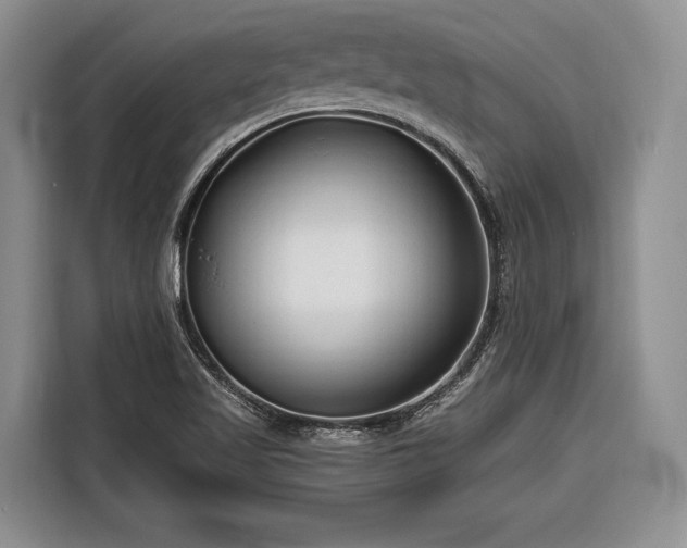 X0000116671509200912211553