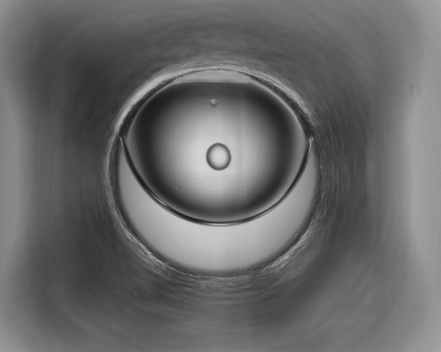 X0000116671510200912211553