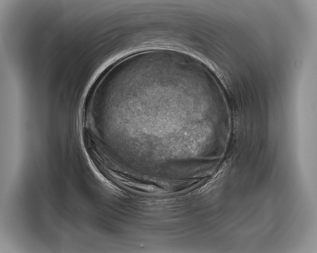 X0000116671515200912211553