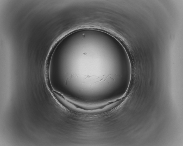 X0000116671517200912211553