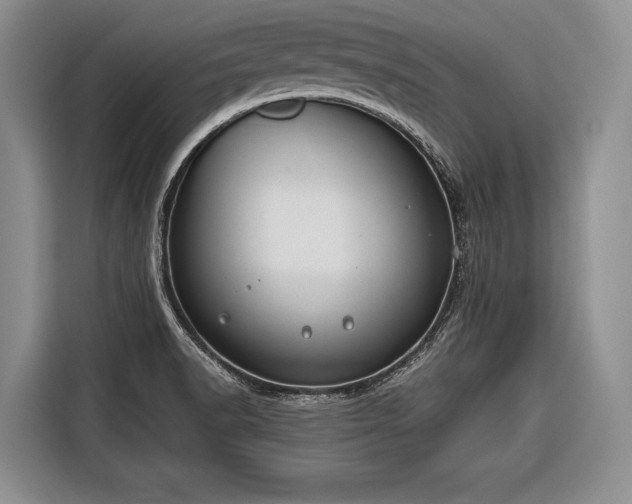 X0000116671518200912211553