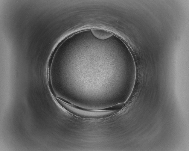 X0000116671519200912211553