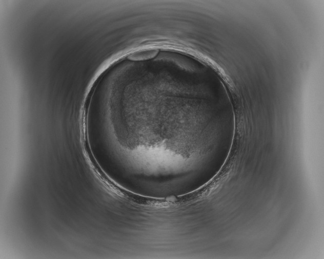 X0000116671522200912211553