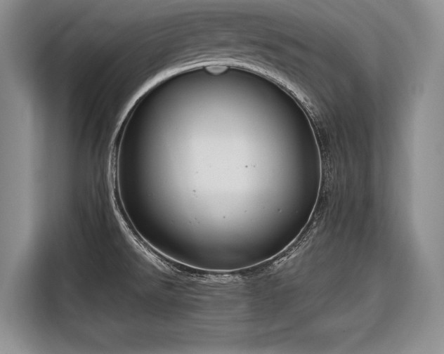 X0000116671526200912211553