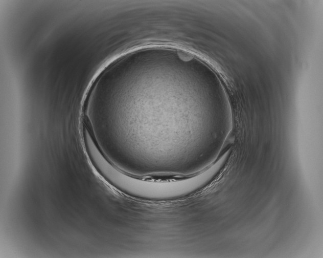 X0000116671527200912211553