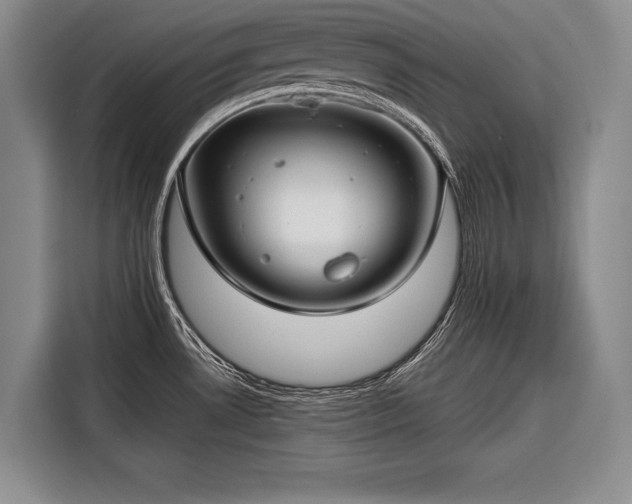 X0000116671530200912211553