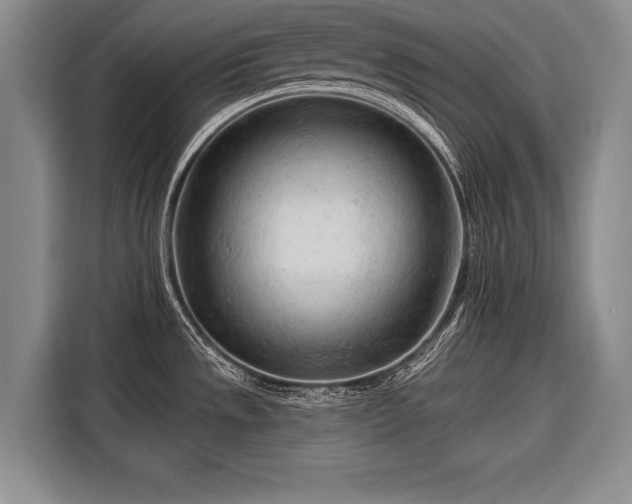 X0000116671533200912211554