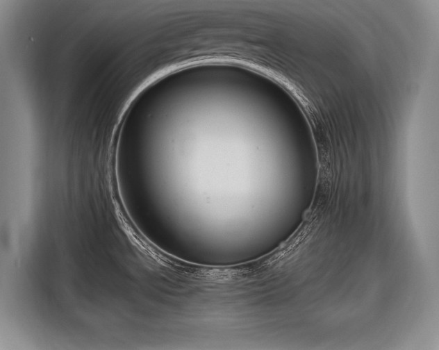 X0000116671534200912211554