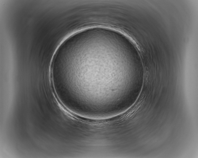 X0000116671535200912211554