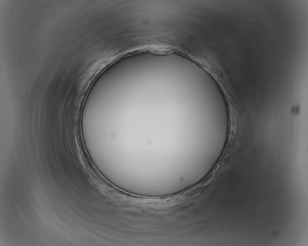 X0000116670001200912291708