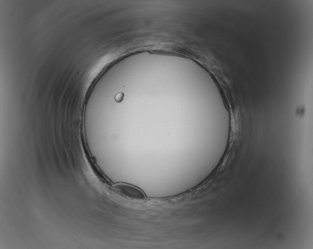 X0000116670003200912291708