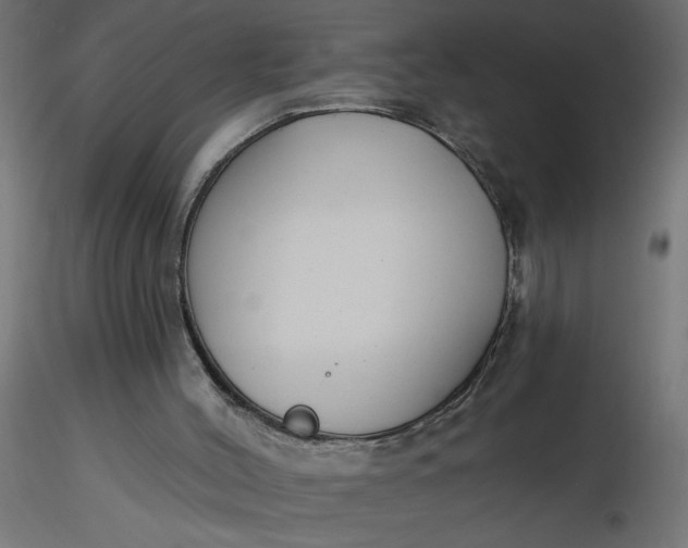 X0000116670004200912291708