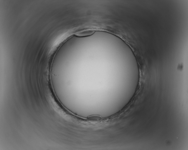 X0000116670005200912291708