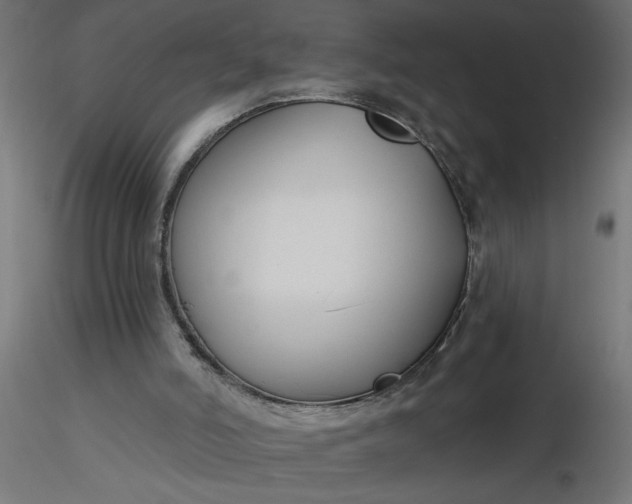 X0000116670006200912291708