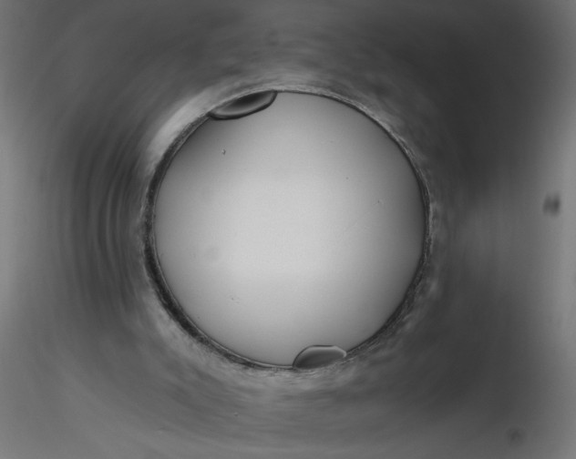 X0000116670007200912291708