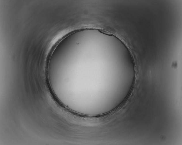 X0000116670008200912291708