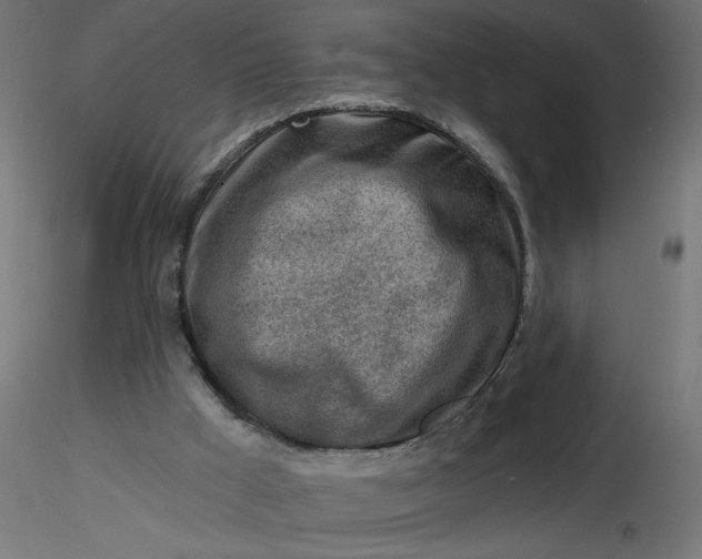 X0000116670009200912291708