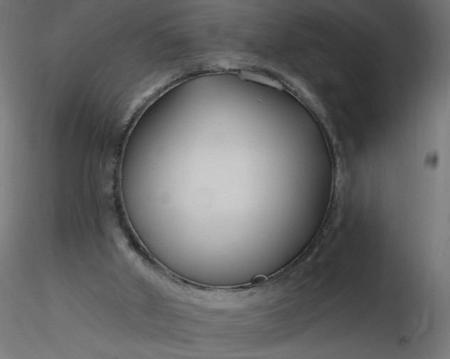 X0000116670010200912291708