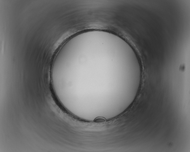 X0000116670011200912291708