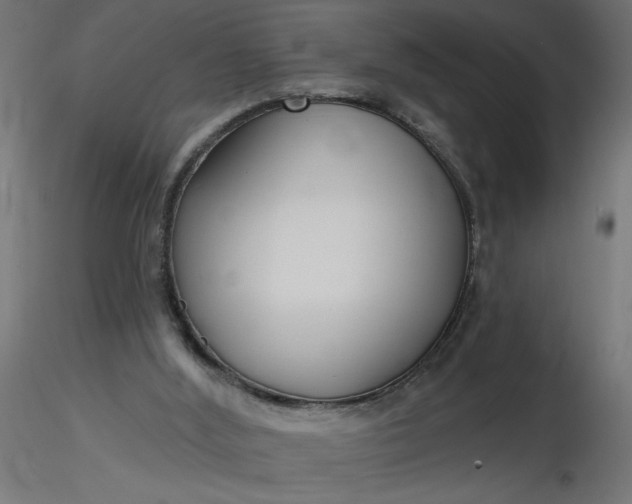 X0000116670012200912291708