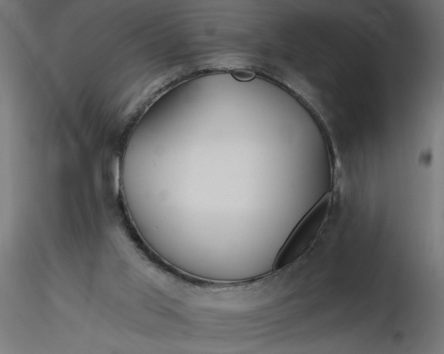 X0000116670013200912291708