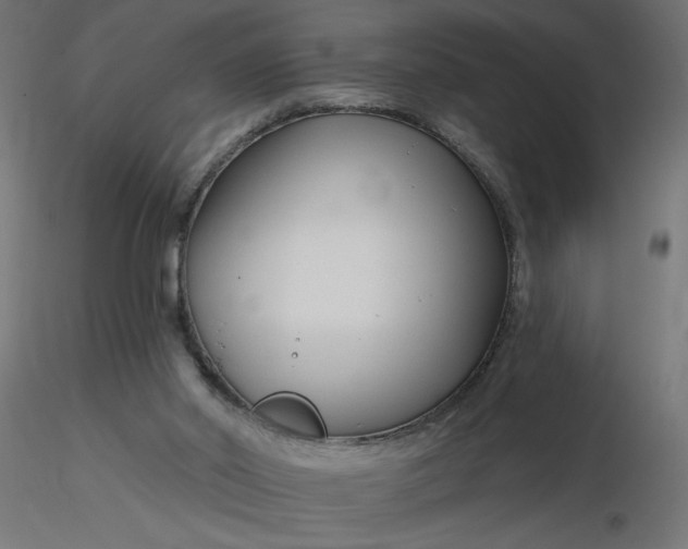 X0000116670014200912291708