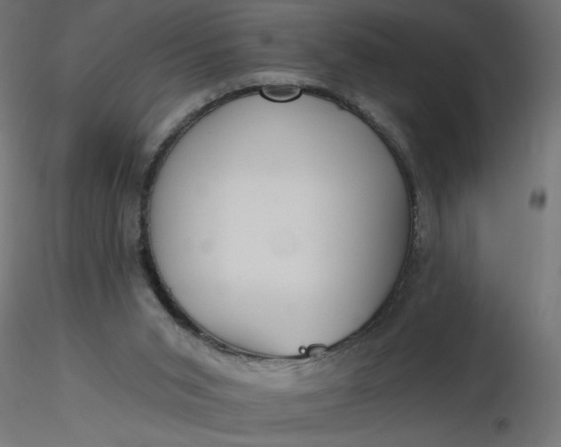 X0000116670015200912291708