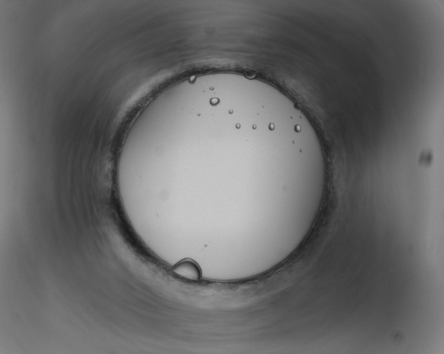 X0000116670016200912291708