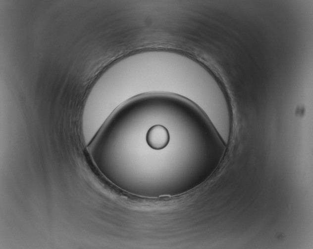 X0000116670017200912291708