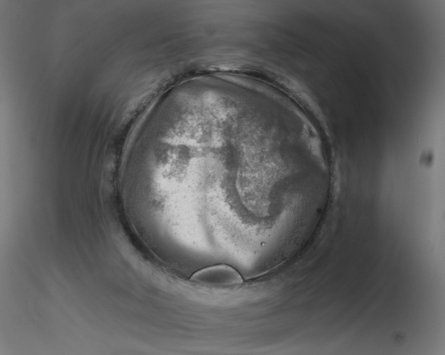 X0000116670018200912291708