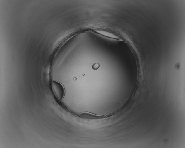 X0000116670019200912291708