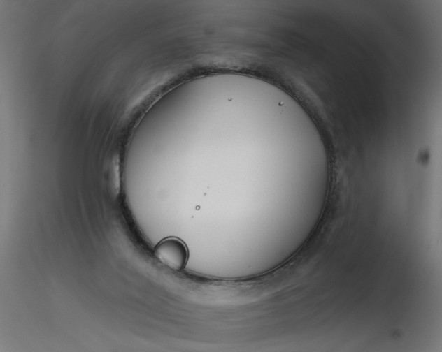 X0000116670020200912291708