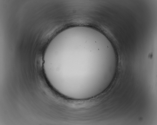 X0000116670021200912291708