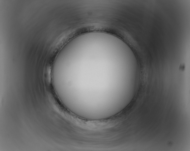 X0000116670022200912291708