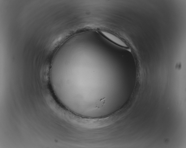 X0000116670023200912291708